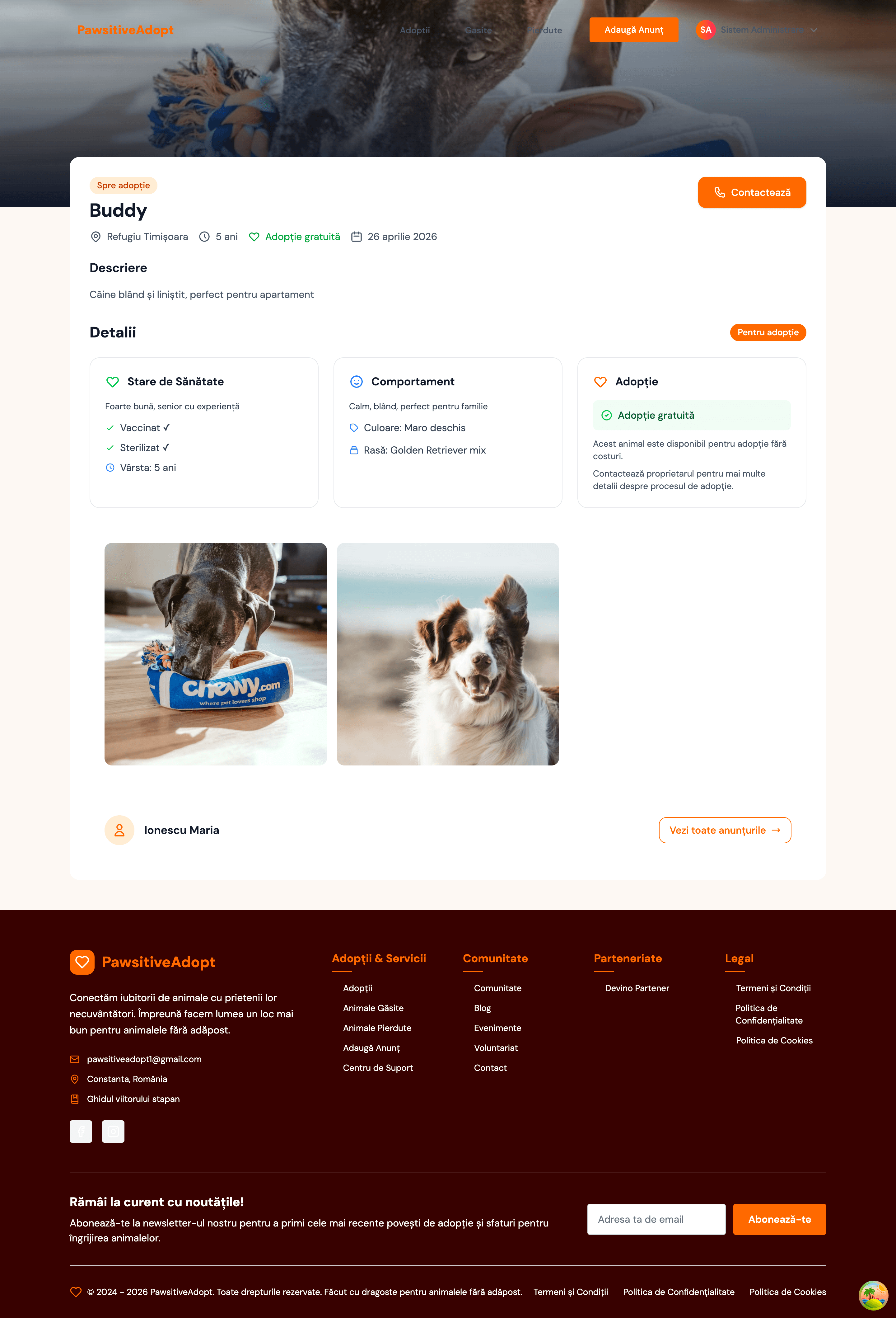 Pet Adoption Profile Detail